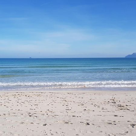 Ideal Property Mallorca - Didi Alcudia  Dış mekan fotoğraf