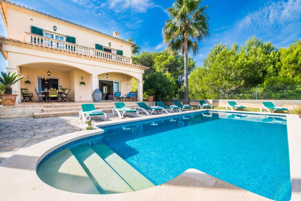 Ideal Property Mallorca - Didi Alcudia  Dış mekan fotoğraf