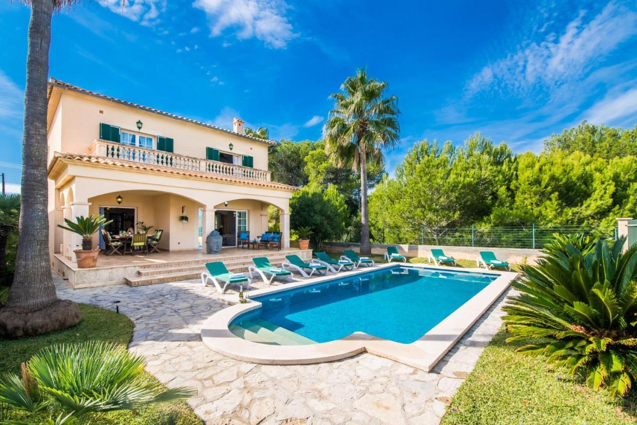 Ideal Property Mallorca - Didi Alcudia  Dış mekan fotoğraf