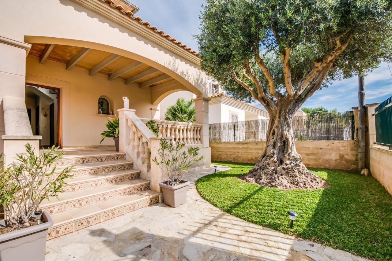 Ideal Property Mallorca - Didi Alcudia  Dış mekan fotoğraf